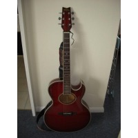 Washburn ea40 acoustic guitar