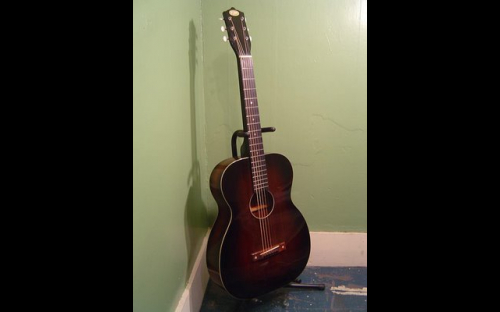 Jake Wildwoods OAHU 65M Hawaiian guitar, full view