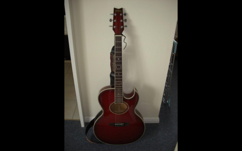 Washburn ea40 acoustic guitar