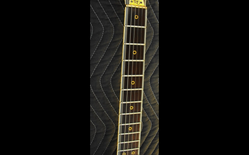 Daion Headhunter 555 electric guitar, fretboard