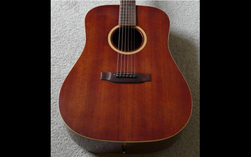 Daion 78 Heritage acoustic guitar, body close up