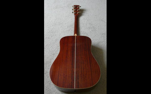 Daion 78 Heritage acoustic guitar, back