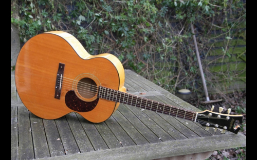 Harptone L-6NC acoustic guitar