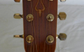 Daion 78 Heritage acoustic guitar, headstock front