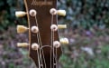 Harptone L-6NC acoustic guitar headstock front
