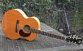 Harptone L-6NC acoustic guitar