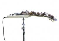 Zebra Finches perch on a white les paul style electric guitar