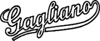 Gagliano Hofner Guitar logo