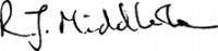 Rik Middleton guitar signature