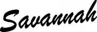 Savannah Acoustic Instruments logo