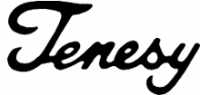 Tenesy banjo logo