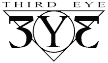 Third Eye Guitars logo