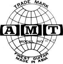 AMT classical guitar label
