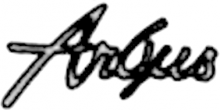 Argus Guitar logo