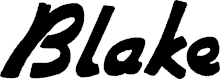 Blake guitar logo