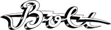 Bolt Guitars logo