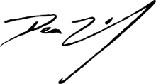 Dean Zelinsky Guitars logo