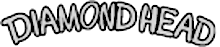 Diamond Head ukulele logo