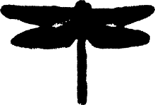 Dragonfly Guitars logo