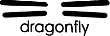 Dragonfly Guitars Japan logo