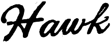 Hawk electric guitar logo