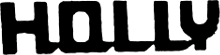 Holly Guitar logo