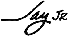 Jay Jr. guitar logo