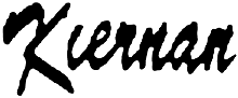 Brian Kiernan Guitar logo