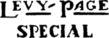 Levy Page Special guitar logo
