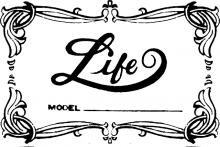 Life Guitar label