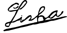 Lisha Guitar Company peghead logo