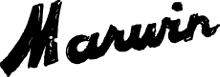 Marwin mandolin logo