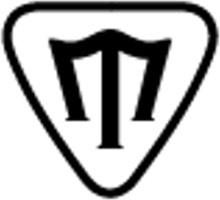 Mason Guitars logo
