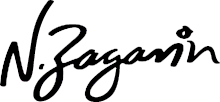 N Zaganin logo