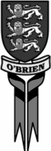 O'Brien Guitars logo