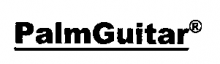 palm-guitar-logo.PNG