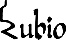 J. Perfecto Rubio Vazquez logo