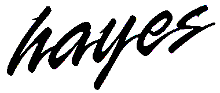 Rick Hayes guitar logo