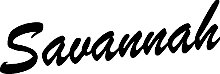 Savannah Acoustic Instruments logo