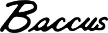 Seth Baccus guitar logo