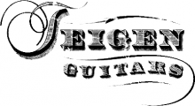 Teigen Guitars logo