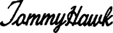 TommyHawk guitar logo