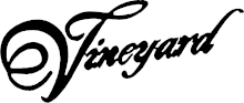 Vineyard guitar logo