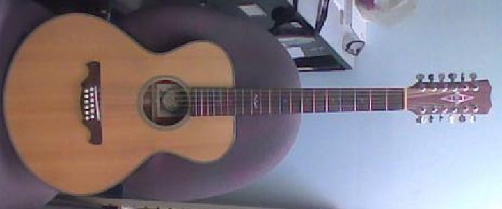 Alvarez Wildwood II 12 string acoustic guitar