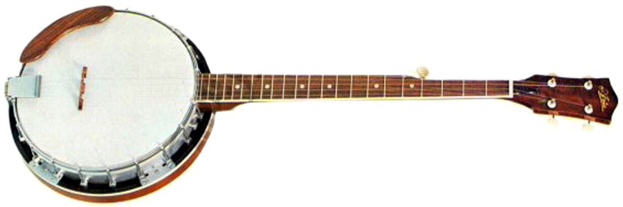 Aria SB4720 5-string banjo