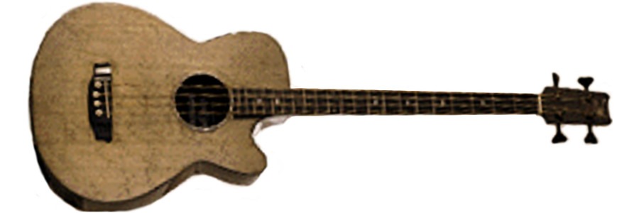 Rainsong Acoustic Bass, carbon fibre single cutaway acoustic bass