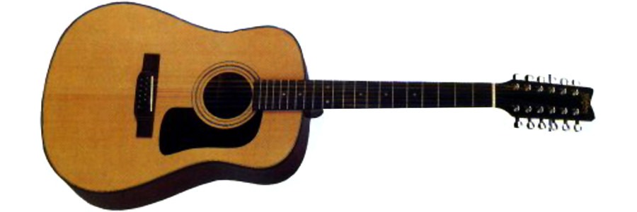 Washburn D1212 acoustic guitar
