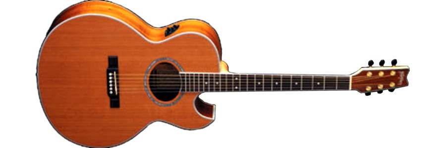 Washburn EA45S acoustic guitar