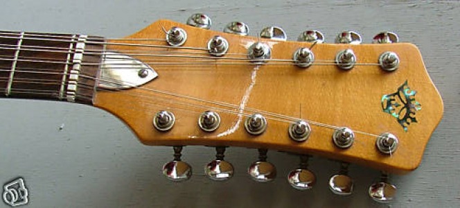 Wilson SA 112 12 string semi acoustic headstock