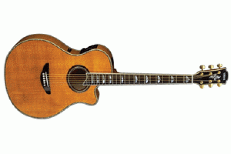 Yamaha APX 20D acoustic guitar in natual finish